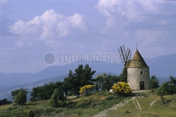 Mühle von Daudet in Fontvieille in der Landschaft der Provence