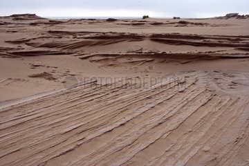 Sand fossilized and stratified Sultanate of Oman