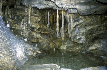 Stalactites dans une grotte à Han sur Lesse Belgique