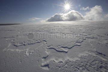Wintersonne über einem schneebedeckten Hang Auvergne Frankreich