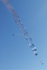 Stalactite based ice in the sun