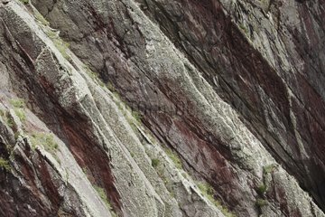 Rock formation of Skokholm island Pembrokeshire Wales