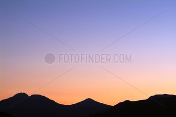 Reittier von Cantal bei Sonnenuntergang im Cantal Frankreich