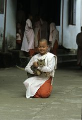 Young nun carrying a cat Burma