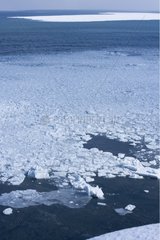 Drift ice at Cape Notoro Hokkaido Japan