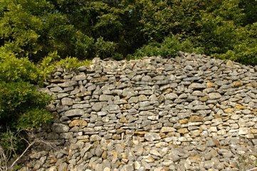 Ladung von Steinen im Rand des wilden Weinbergs Frankreich