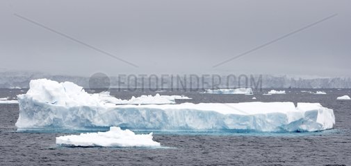 Iceberg in the Antarctic Peninsula Neko Harbour