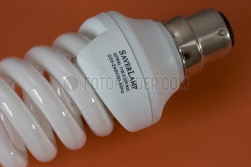 Energy efficient light bulb or Saverlamp United-Kingdom