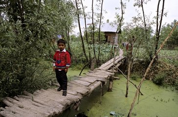 Schoolboy on a wooden bridge Srinagar India