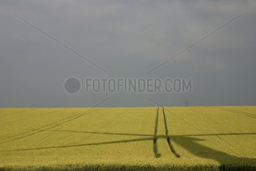 Schatten einer Windkraftanlage auf einem Getreidefeld Frankreich