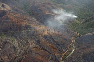 Brände von Naswald und Maquis in Neukaledonien