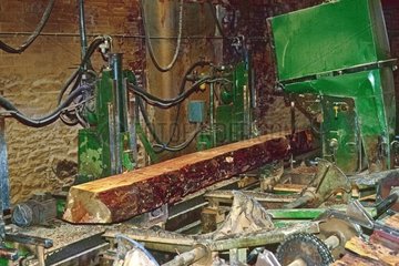 Within a sawmill and cut a trunk into planks Spain