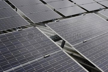 Photovoltaikpaneele auf dem Dach eines Fußballstadions