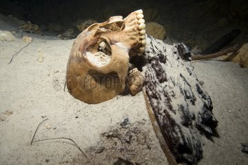 Maya Human bones in a Cenote Yucatan Mexico