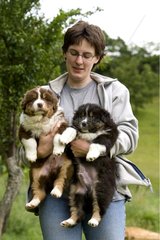 Woman holding in her arms two 'Australian Shepherd' Puppies
