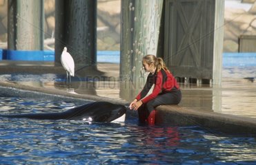 Femme nourrissant un orque au marineland Orlando