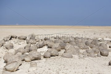Coastal landscape stony Sultanate of Oman