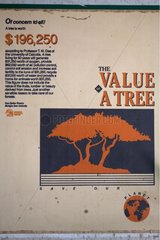 Panel advising on the economic value of a tree Borneo