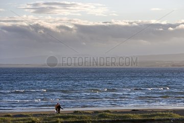 Walkers along the Strait of Magellan Punta Arenas Chile