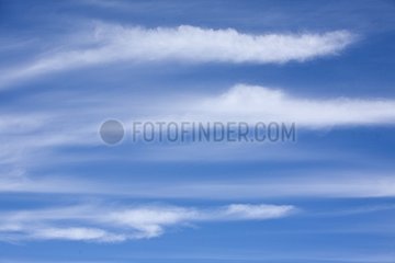Volutes of white clouds in a blue sky Falklands