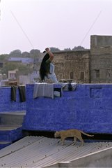 Cat and young girl near a blue small wall Jodhpur India