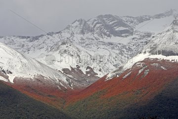 Valley Peninsula Magallanes Patagonia Argentina