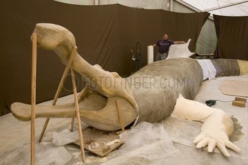 Rekonstitution eines Sarkosuchus  der in einem Zoo Frankreich hergestellt wurde