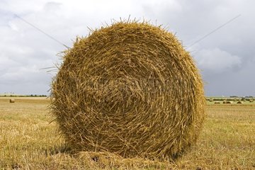 Straw stack rolled in the middle of a field off France