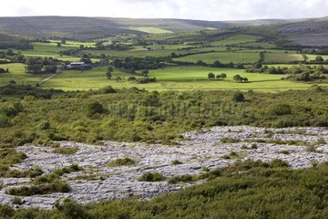 Landschaft des Karstschalen von Burren in Irland