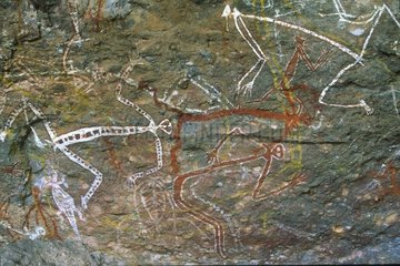 Peintures rupestres à Ubirr NP Kakadu NT Australie