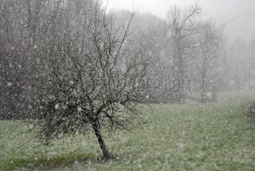 Schneefall im DrÃ¼sentalglay Frankreich