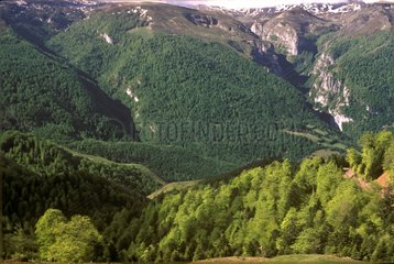 Der Canyon von Ehujarre Sainte Engrâce Pyrénées Atlantiques