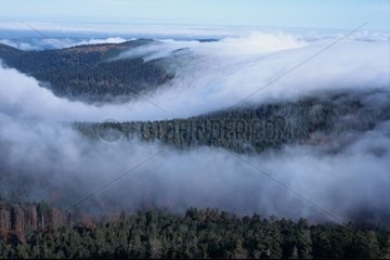 Mountains of the Vosges under the fog France