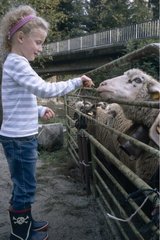 Young girl feeding a sheep