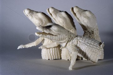 Polyurethane casts of a hatching crocodile