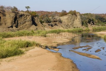 Letaba river in the NP Kruger South Africa
