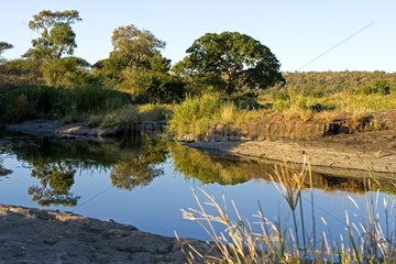 Permanent river in the NP Kruger South Africa
