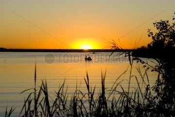 Chobe river at sunset NP Chobe Botswana