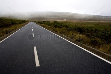 Road in fog Portugal