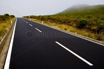 Road Portugal