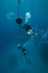 Divers potting down equipment - Aquarius Reef Base Florida