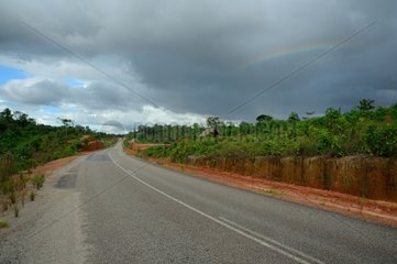 Road Apatou - French Guiana