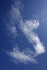 Wispy cirrus clouds floating in blue sky Scotland