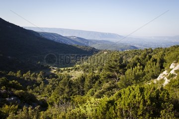 Landscape of Vaucluse Mounts and Luberon France