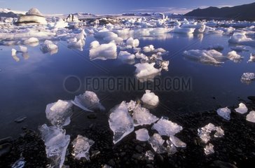 Blocs de glace sur la plage du lac Jokullsarlon Islande