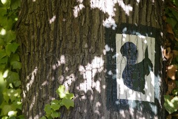 Logo auf einem Baum mit einem Eichhörnchen Ile-De-France