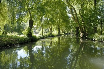 Canal in the Marais Poitevin La Garette-Sansais France