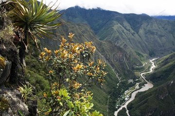 View of the Urubamba River canyon Machu Pichu Peru