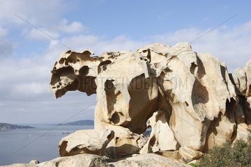 Felsen  die am Meer in Bärenform Capo d'Orso Italien am Meer erodiert sind