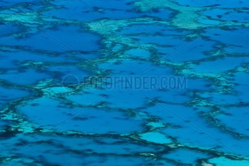 Geometrical patterns drawn by coral reef in Maupiti